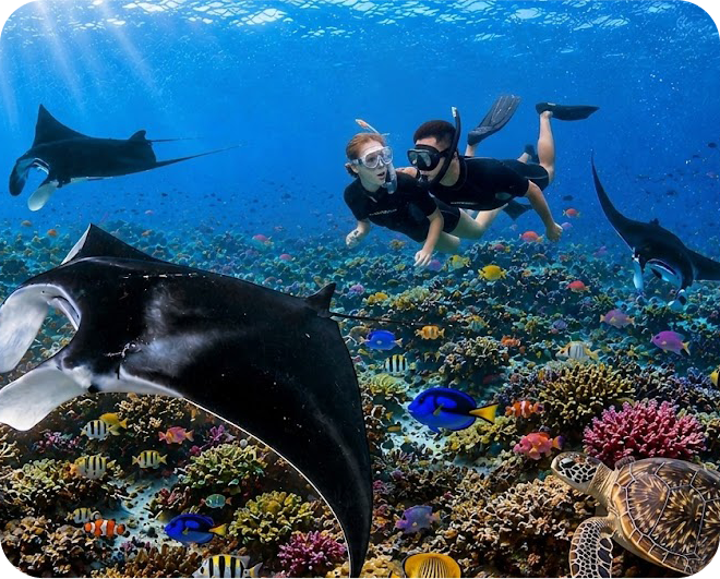 best snorkling in nusa penida bali