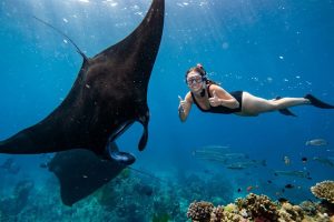 manta bay best spots snorkeling