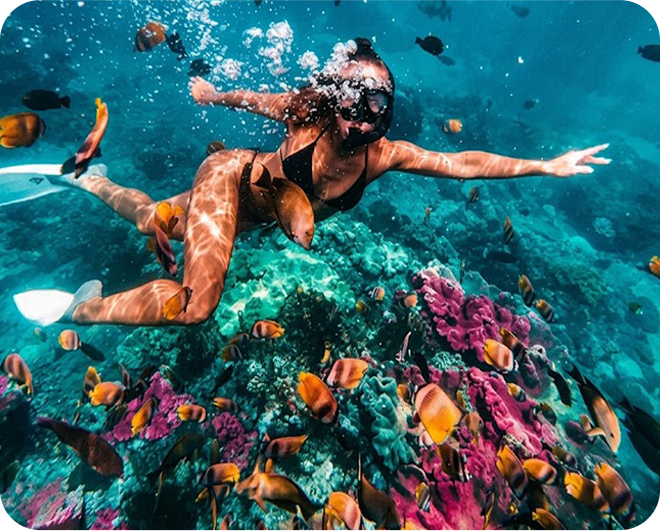 complete package tour nusa penida With Snorkeling